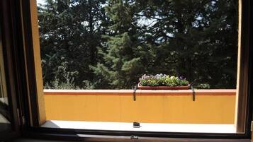 Classic-Einzelzimmer, Hügelblick | Innenbereich