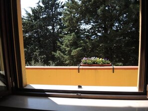 Habitación individual clásica, vista a la colina | Interior