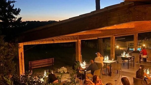 Een terras met tafels en stoelen, omringd door planten en bomen.
