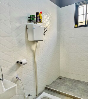 Shower, towels, soap, toilet paper