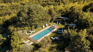 Une piscine rectangulaire entourée de chaises longues et bordée d’une terrasse en bois, située dans un cadre verdoyant et boisé.