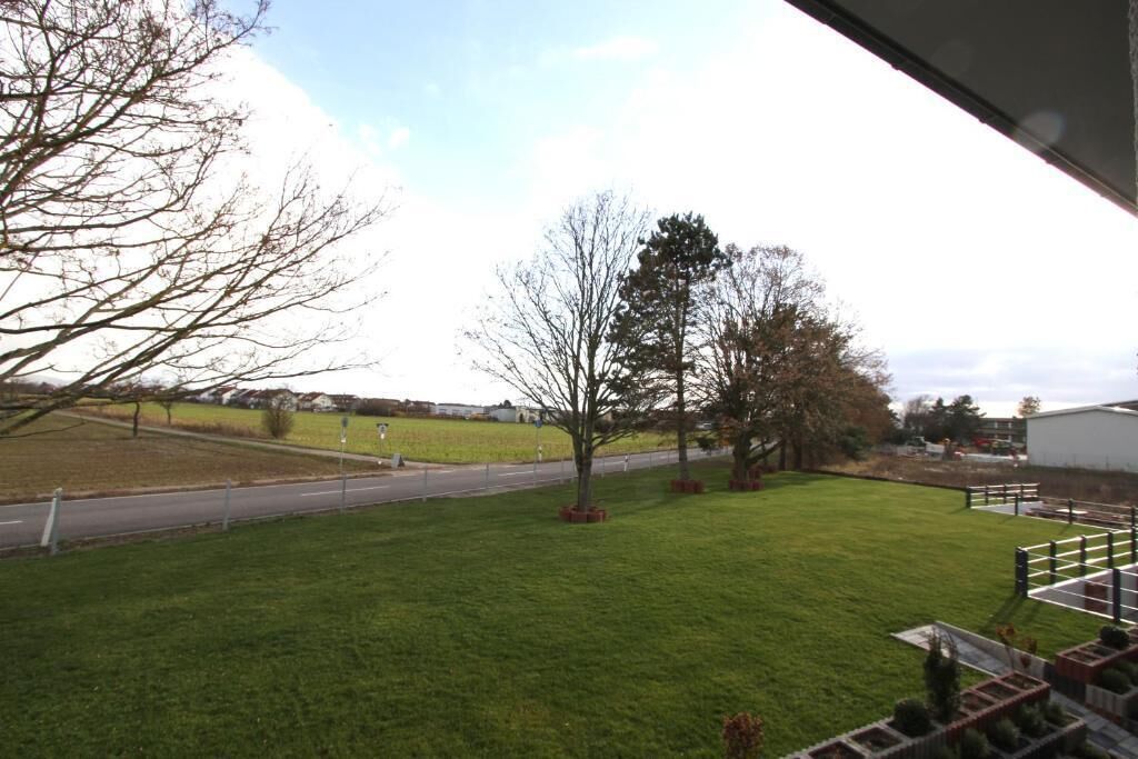 A grassy area with trees and a road.
