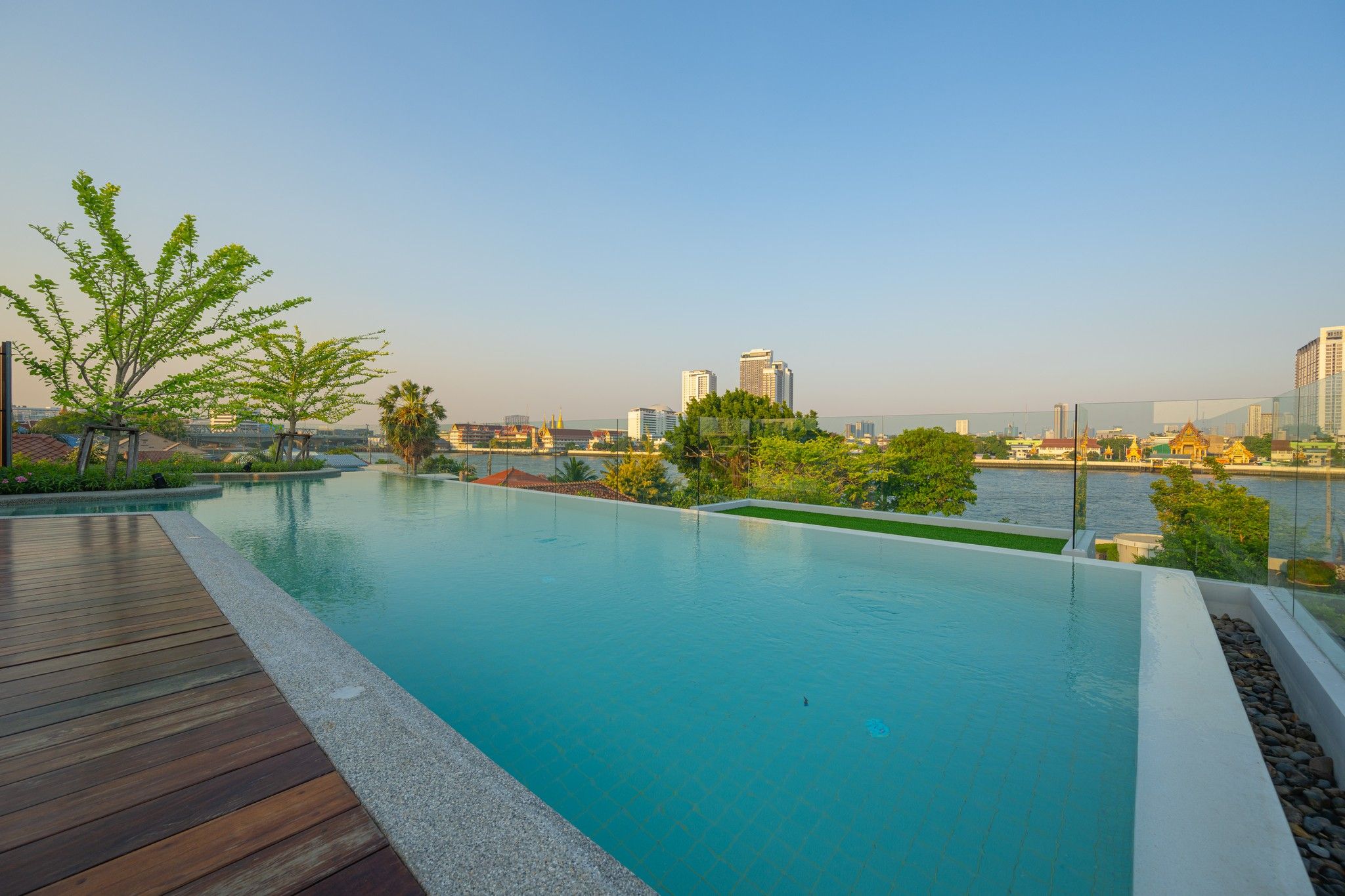 A rooftop infinity pool with a wooden deck, surrounded by greenery and overlooking a cityscape with modern buildings and a river.