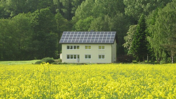 A house with a solar panel roof, surrounded by a field of yellow flowers, and a forest in the background. - Ferienwohnung für neun Personen in Homberg (Homberg)