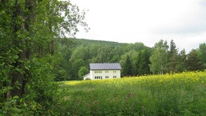 A white building with a sloped roof, surrounded by dense green foliage and a field of yellow flowers. - Ferienwohnung für neun Personen in Homberg (Homberg)