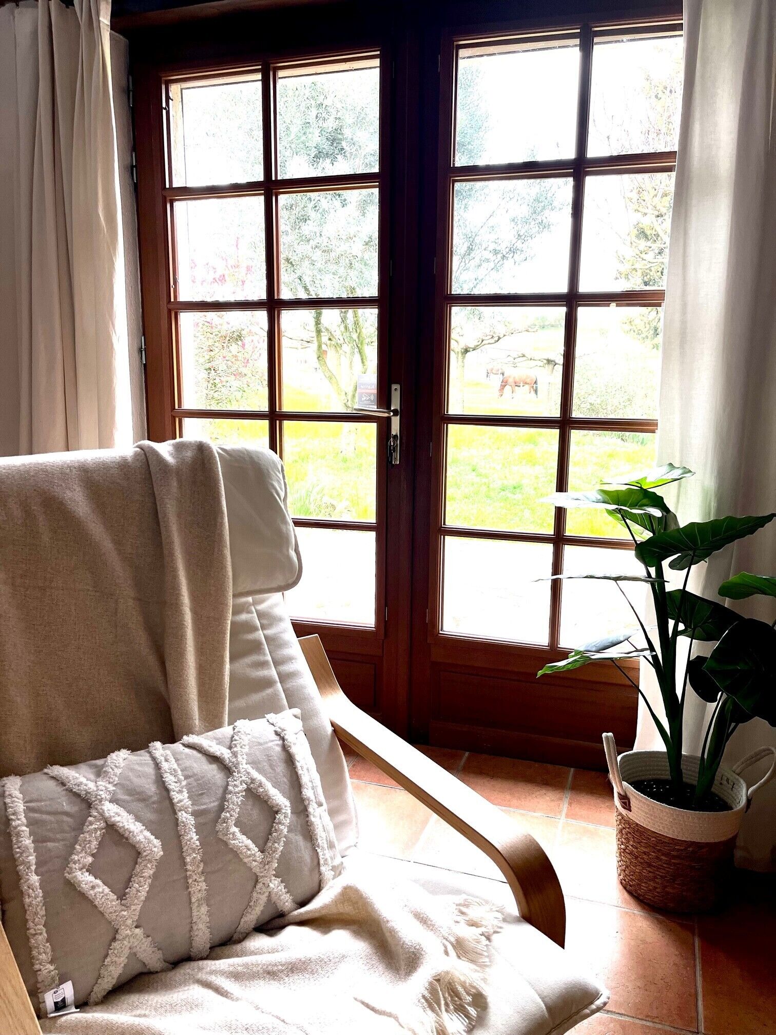 منطقة المعيشة