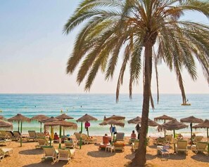 Una spiaggia con palme, lettini e ombrelloni di paglia.