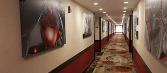 Woodland Inn & Suites Extended Stay - 1 King Bed Non Smoking