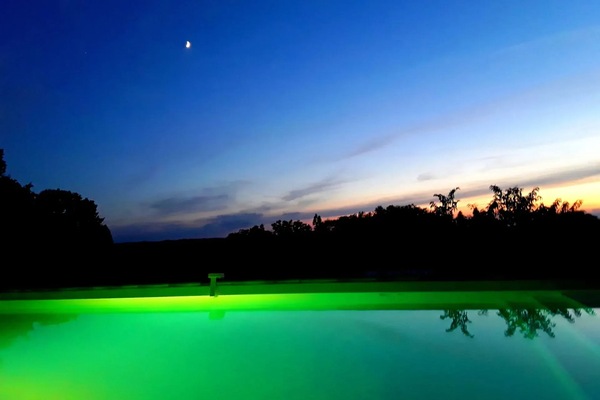 Swimming pool view