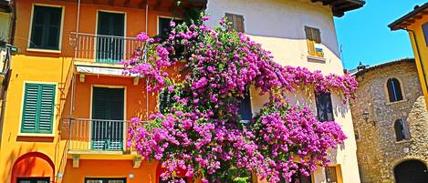 Fachada