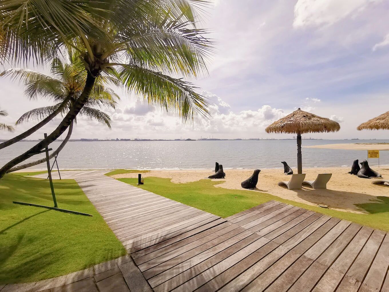 A wooden deck leading to a beach with palm trees, a thatched umbrella, and sea lions.