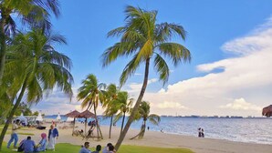 Une plage bordée de palmiers, un ciel dégagé et une mer calme.