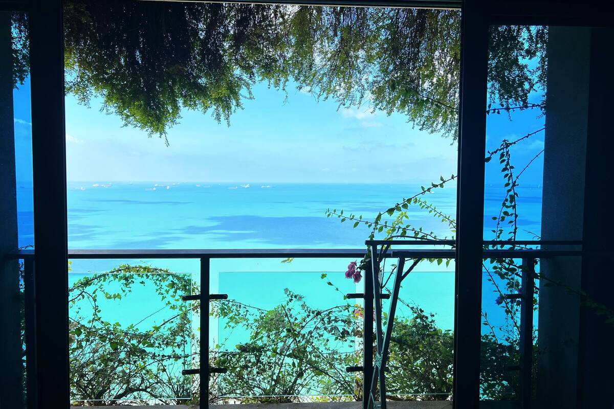 Une vue à travers une fenêtre donnant sur un balcon, avec en contrebas un plan d’eau et des arbres.