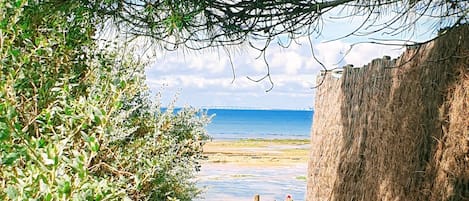 Ranta