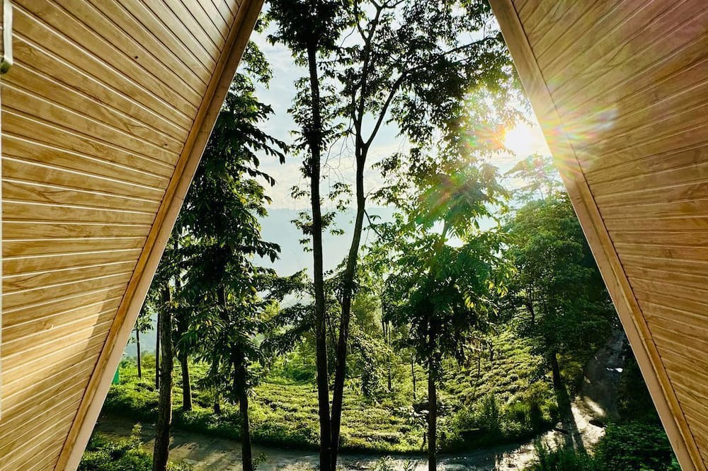 The Tea Tribe Stay - Offbeat Darjeeling