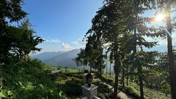 Habitació superior, balcó, vistes al pati | Àrea exterior de l'allotjament