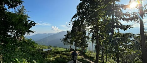 Chambre SupĂ©rieure, balcon, vue cour intĂ©rieure | Enceinte de lâhĂ©bergement