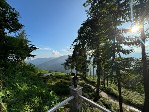 Superior Room, Balcony, Courtyard View | Property grounds - The Tea Tribe Stay - Offbeat Darjeeling (Darjeeling)