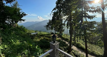 The Tea Tribe Stay - Offbeat Darjeeling