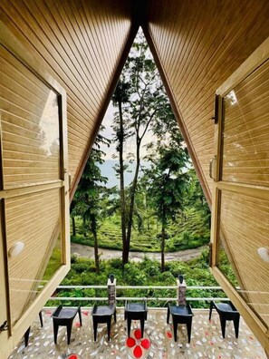 Property grounds - The Tea Tribe Stay - Offbeat Darjeeling (Darjeeling)