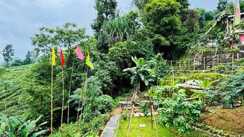 Habitació superior, balcó, vistes al pati | Àrea exterior de l'allotjament