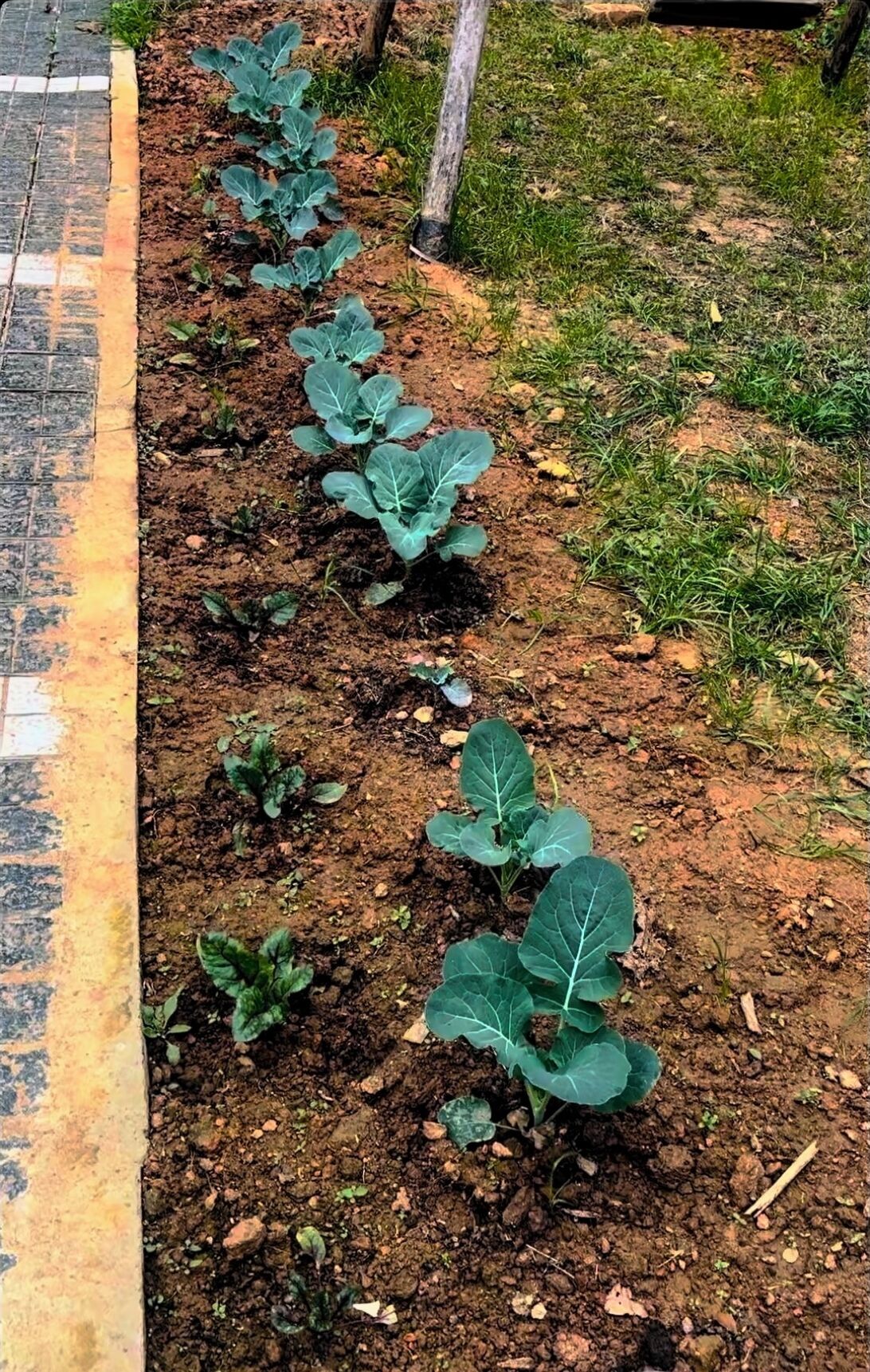 외부 세부 사진