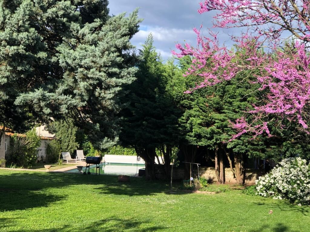 A backyard with a pool, a grill, and various trees including a large evergreen and a flowering tree.