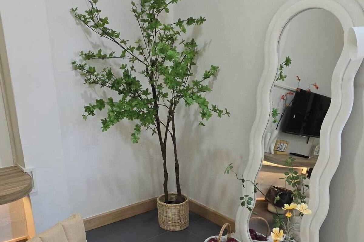 高級開放式客房