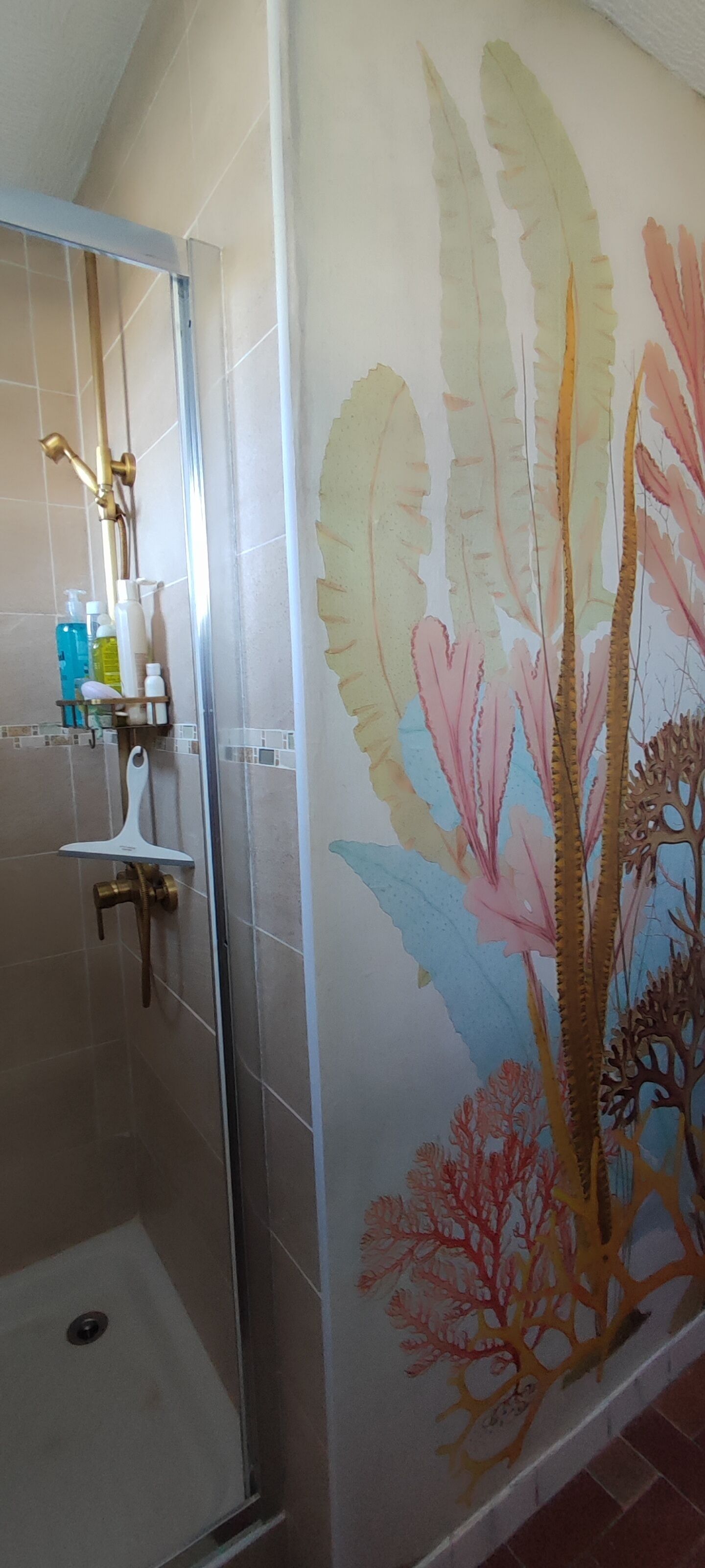Douche, serviettes fournies, savon, papier toilette