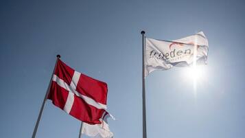 Zwei Flaggen, eine Dänemarksflagge und eine mit dem Schriftzug 'freden'.