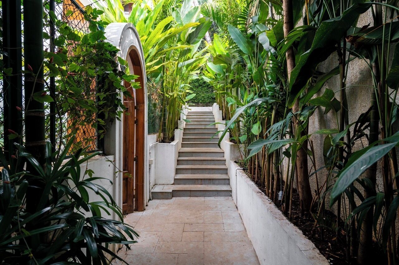 A narrow stone staircase flanked by lush greenery and a white wall, leading to an arched doorway.