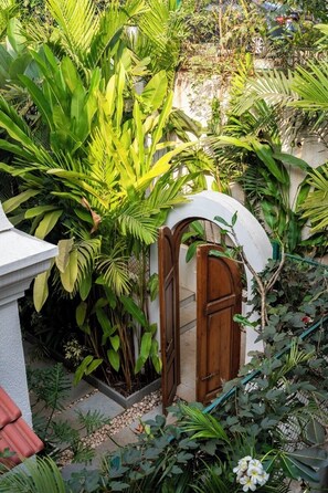 Un jardín exuberante con diversas plantas tropicales y una puerta de madera.