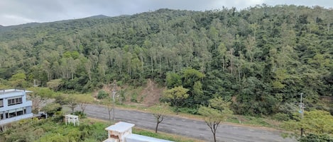 Una carretera con una ladera boscosa al fondo.