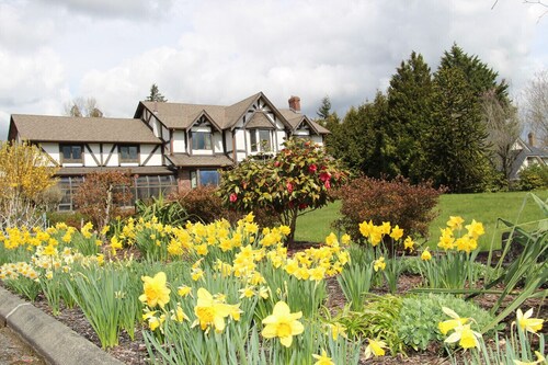 Spacious room and kitchenette