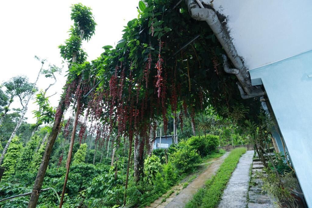 Standardlejlighed | Overnatningsstedets område