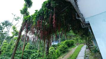 Standardlejlighed | Overnatningsstedets område