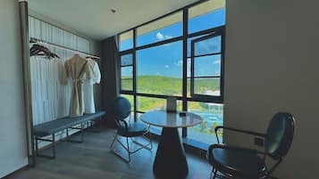 Designer Room | View from room