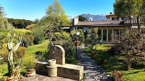 A garden pathway leading to a building with a tiled roof, surrounded by various plants and cacti. - Villa Mariapia 6P, by VILLASRETREATS Beach House, just a few steps from the ocean (Massa)