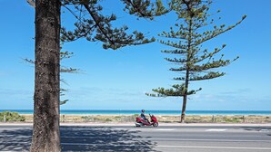 A road with a tree on the left and a clear blue sky. - 2BR Seaside Retreat in Largs North (Largs North)