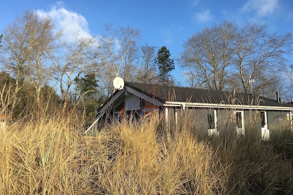 Haus mit Garten