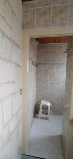 Shower, hair dryer
