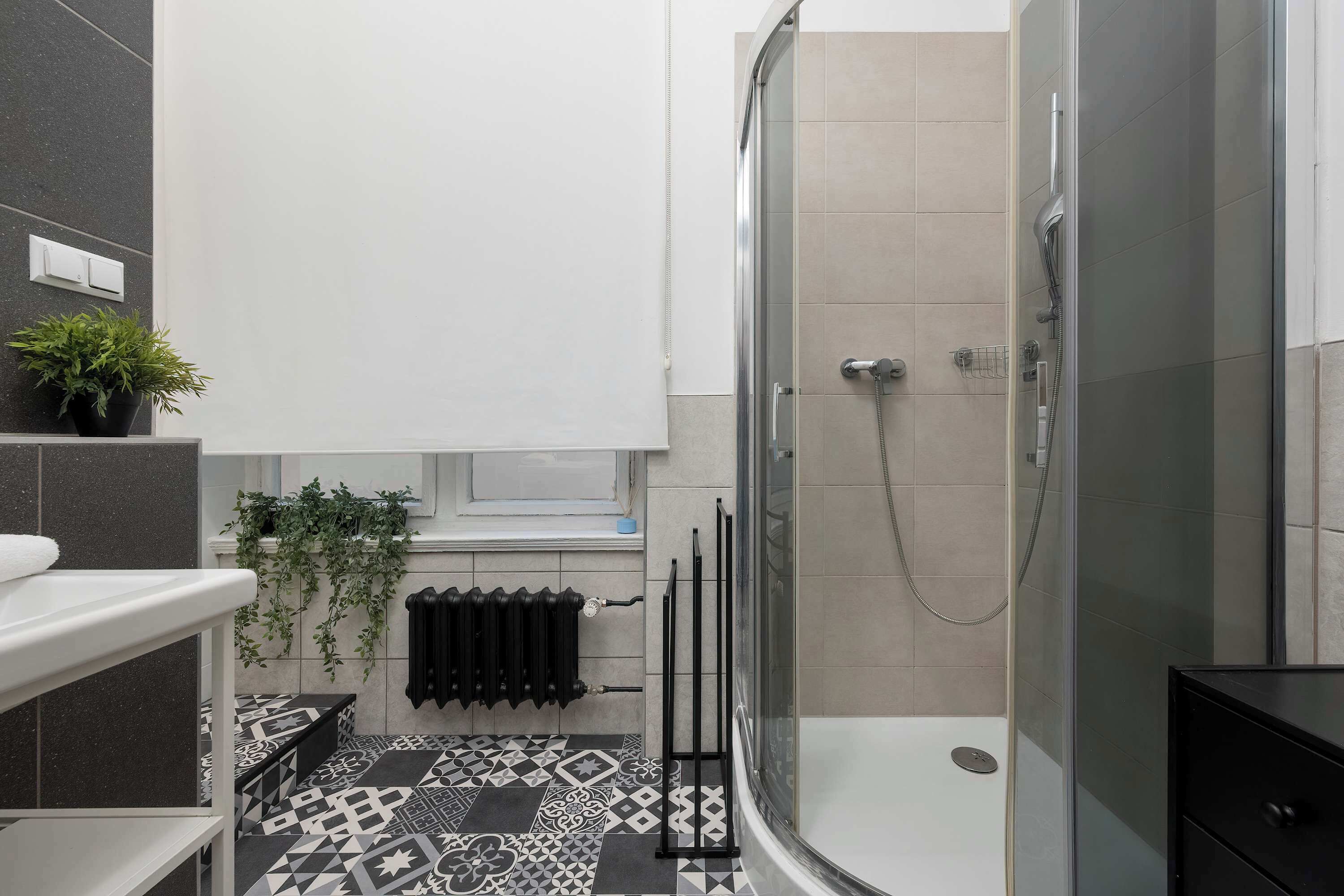 Shower, hair dryer, towels, shampoo
