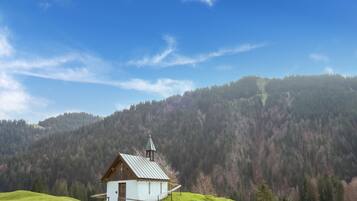Comfort Apartment, 1 Bedroom | View from property