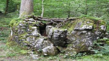A natural rock formation with moss and a fallen tree branch in a forest.