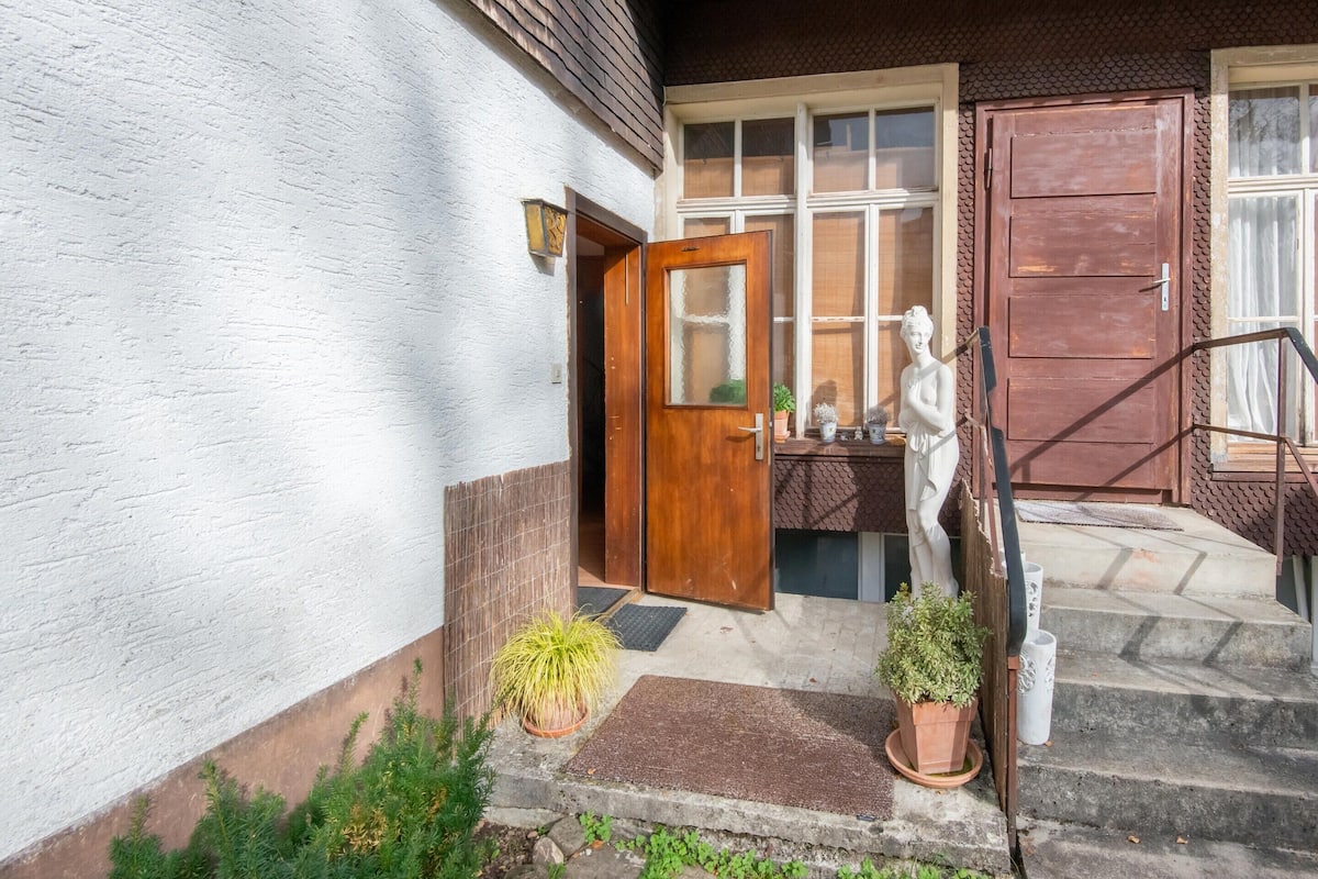A house with a wooden door, a statue, and a potted plant in front.