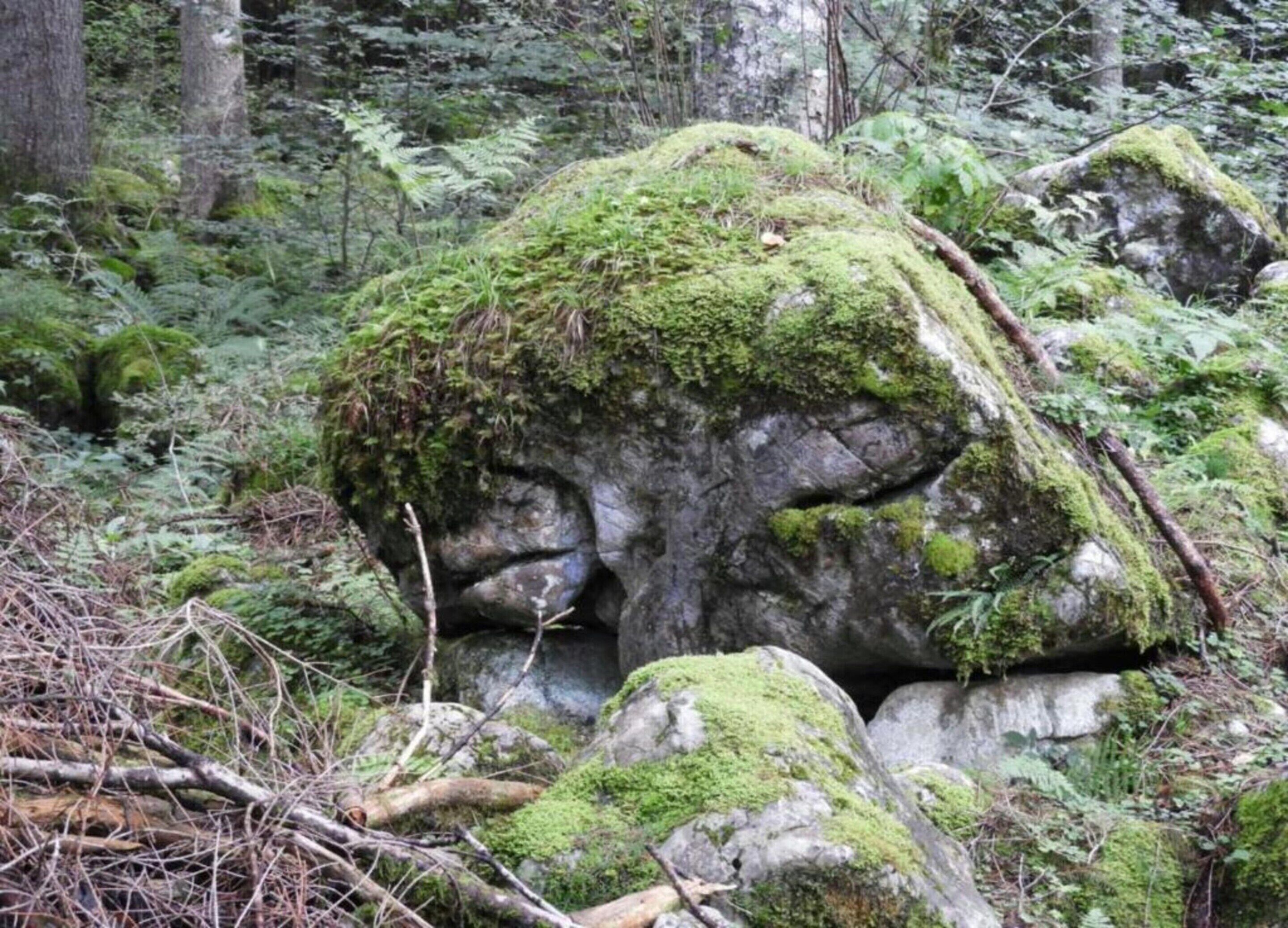 Formação rochosa coberta de musgo numa floresta.
