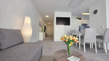 Fernseher, Stereoanlage