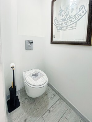 Shower, hair dryer, towels, toilet paper - La Colridienne, cosy country house with garden, animals ok (Cauroy-lès-Hermonville)