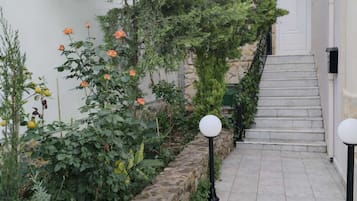 Detalle del exterior