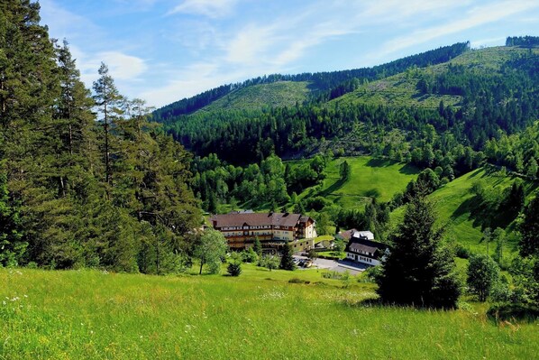 A mountain landscape with a house surrounded by lush greenery and trees.
